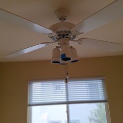 Cieling Fan 