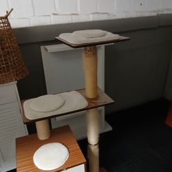 Cat House 