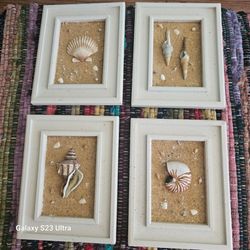 Set of 4 Seashell Shadow Box Wall Art