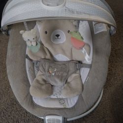 Baby Bouncer