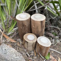 Eucalyptus Candle Holders