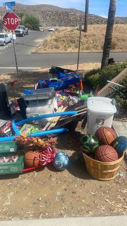 Free in lake Elsinore
