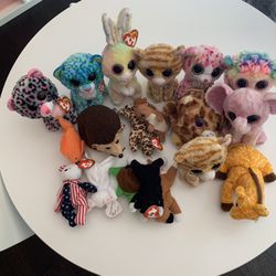 Teenie Babies Collection
