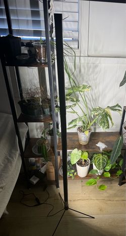 SANSI standing grow light for plants