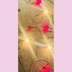 Have 2 Sets Christmas Lights 