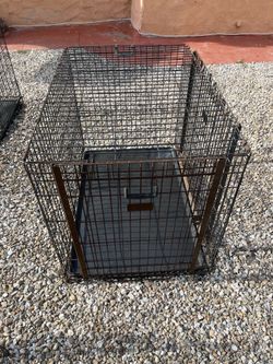 dog cage