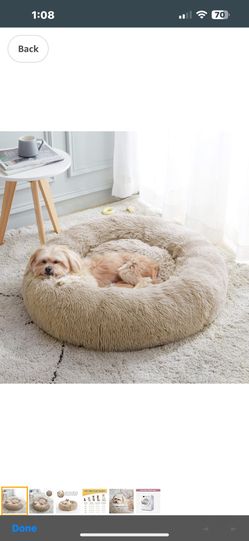 Dog Bed