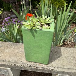 Ceramic Green Pot With Succulents