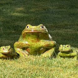 Frog Piggy Banks - Great For Frog Collectors