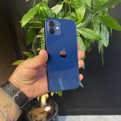 iPhone 12 - Unlocked - 256GB - No Face ID