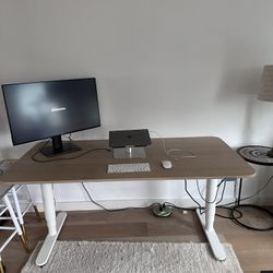 Bekant Sit/Stand IKEA Desk 