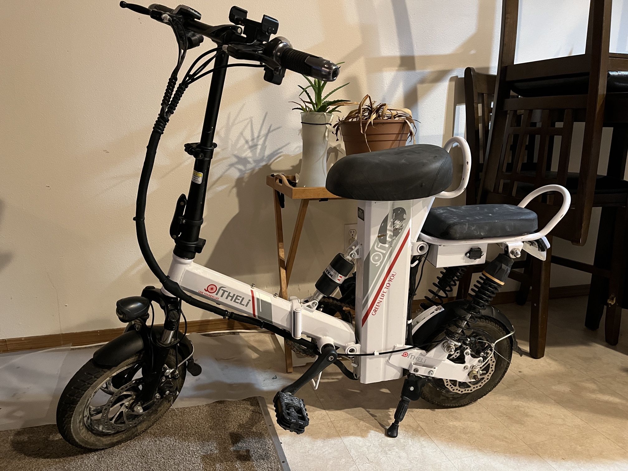 Oltheli 12” E-bike 2 Seater