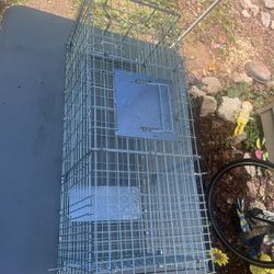 Trap for hunting animals