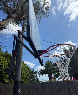 Basketball Backboard