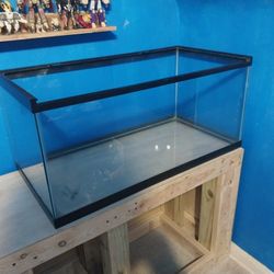 40 Gallon Fish tank