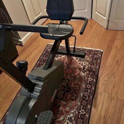 Excel 395 Recumbent stationary magnetic bike