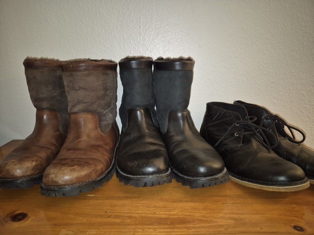 UGG Mens