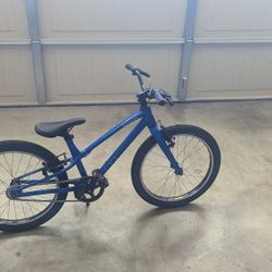 20 Inch Blue Bike