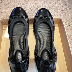 Coach Lady’s Flat Software 