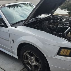 2003 mustang convertible.