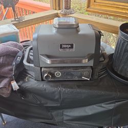 Ninja Woodfire /Smoker