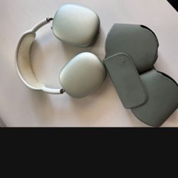 Apple Headphones 