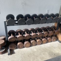 Dumbbells  30-100 Lbs  