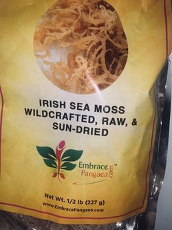 Irish Sea Moss (Plant Version)