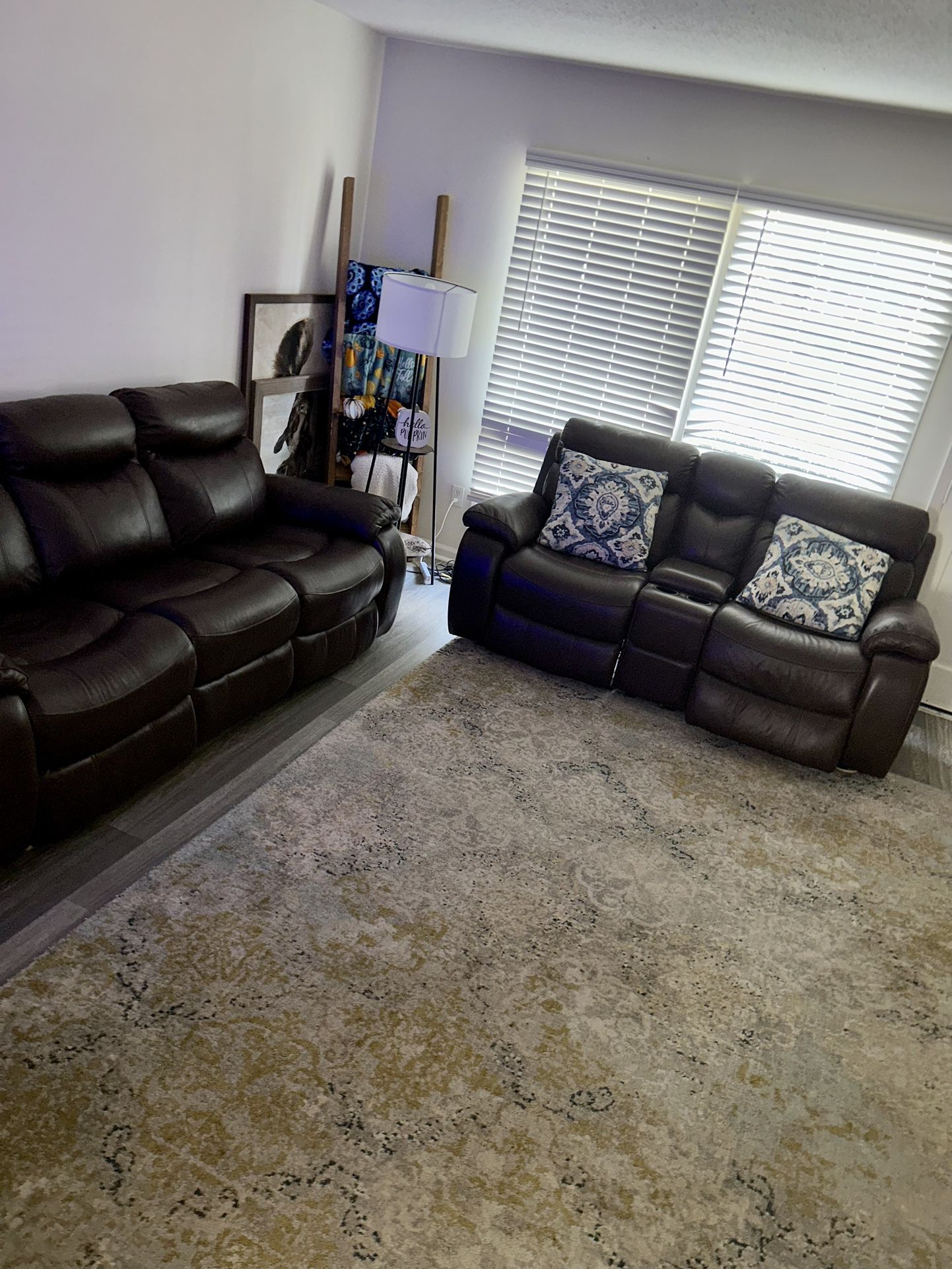 Leather Couches, Rugs, And Pillows
