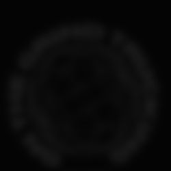 Jordan 4 IV Retro OG Undefeated  