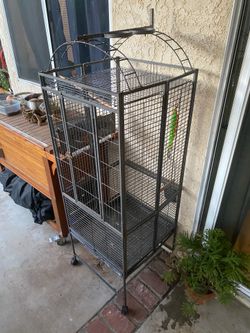 Large Bird cagea