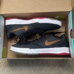 Nike Paul Rodriguez 9 Elite 