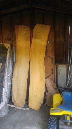 Big Eucalyptus slabs.