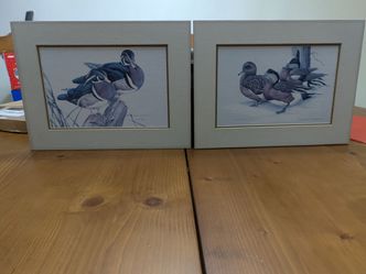 Pair of Framed Duck Wildlife Prints