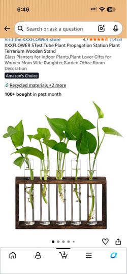 XXXFLOWER 5-Tube Plant Propagation Station Wooden Stand