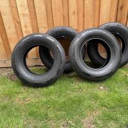 New Set Of Rainier Trailer Tires 