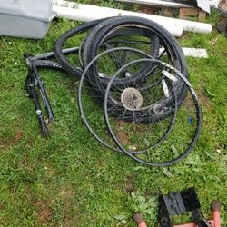Bike Frame, Tires, and Rims