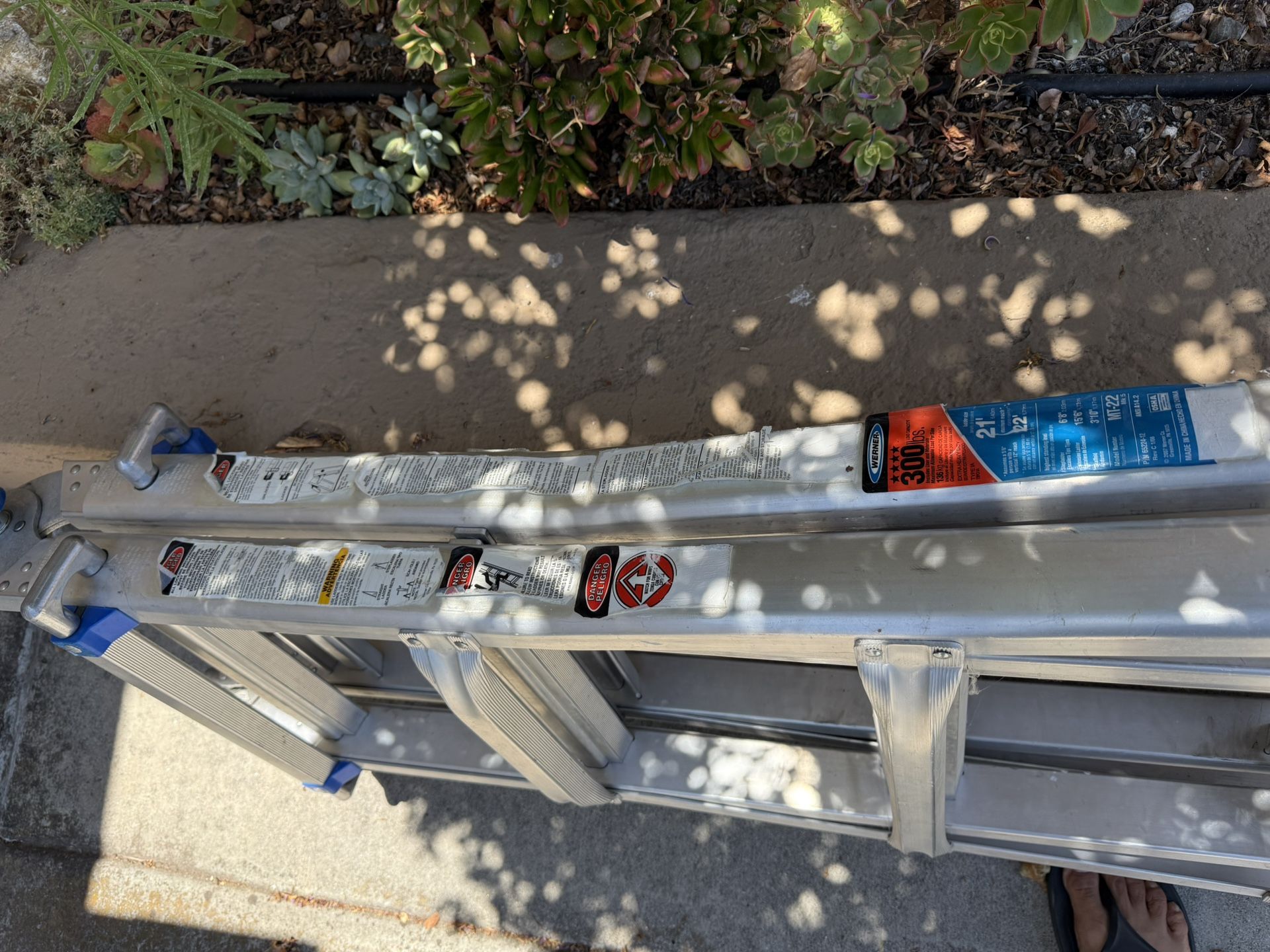 Werner Ladder