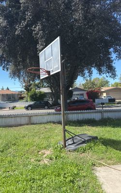 Basketball Pole