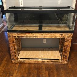 Aquarium 