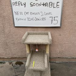 New Cat Condos