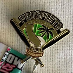 Cooperstown ASV Pin 