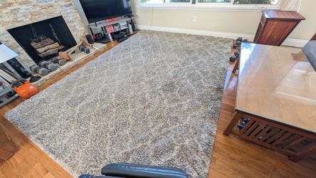 Floor Rug approx ~8x11