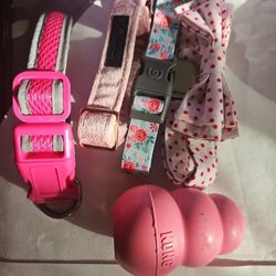 Dog Collar And Mini Kong