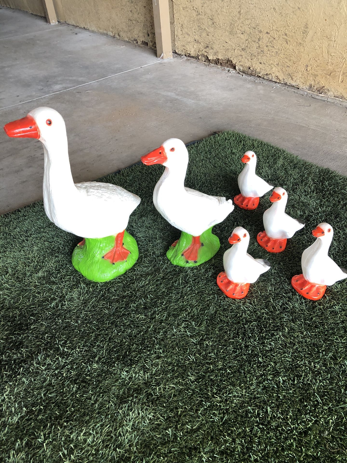 Ducks