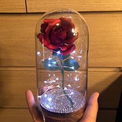 New Enchanted Rose