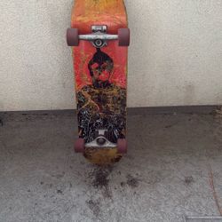 Cruiser Skateboard 