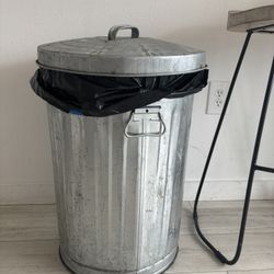 Two silver trash Cans 