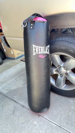 Everlast Punching Bag