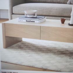 Tome Storage Coffee Table 